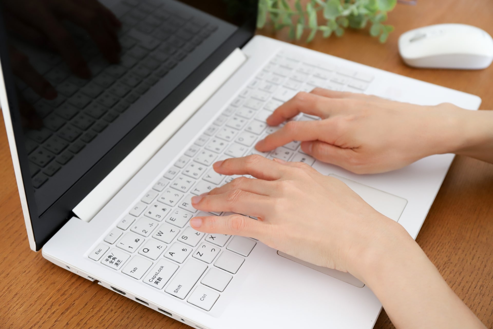 毎パソコンクール